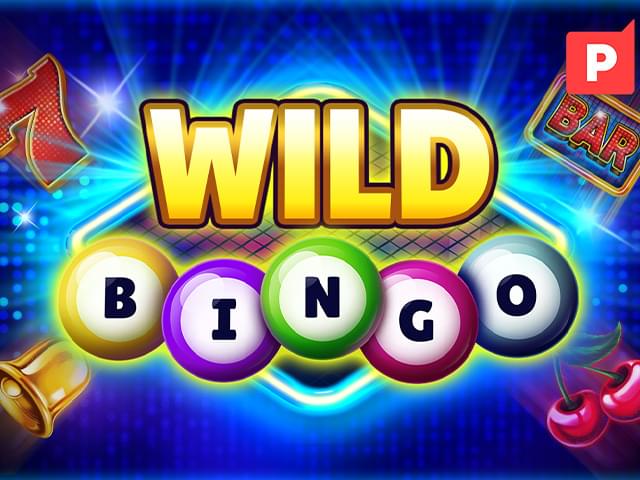 4242bet Bingo Selvagem